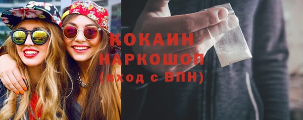 индика Бородино