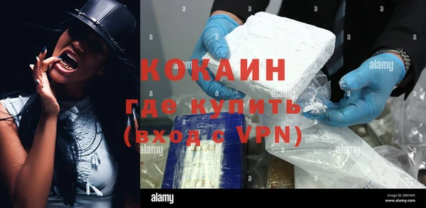 индика Бородино