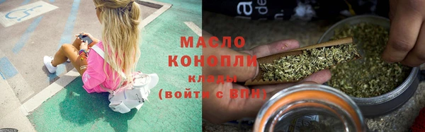 индика Бородино