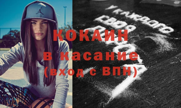 индика Бородино