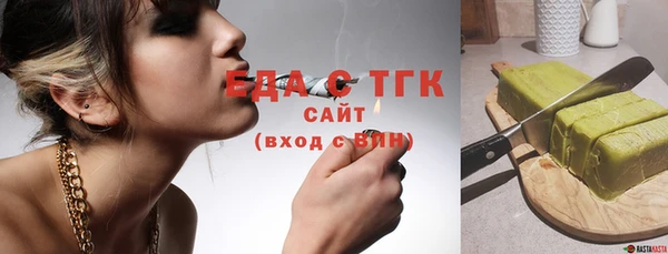 индика Бородино