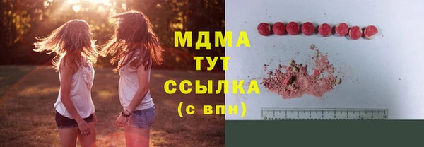 индика Бородино