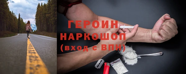 индика Бородино
