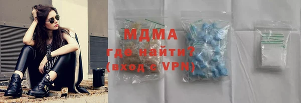 индика Бородино