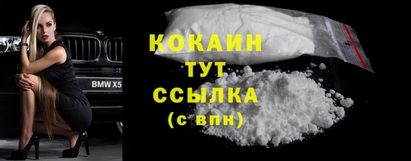 индика Бородино
