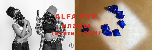 индика Бородино