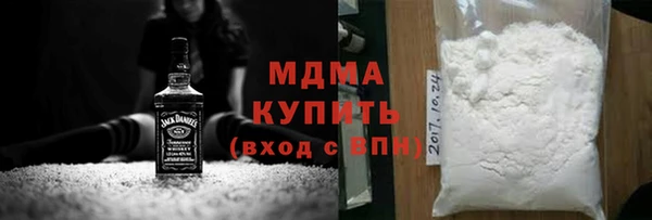 индика Бородино
