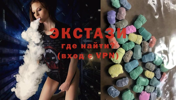 индика Бородино