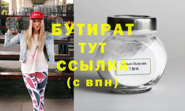 индика Бородино