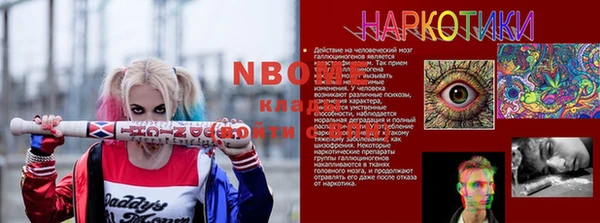 индика Бородино