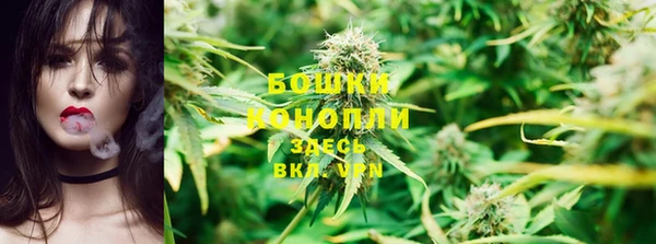 spice Бронницы
