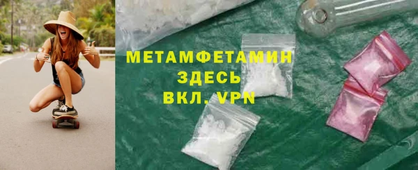 индика Бородино