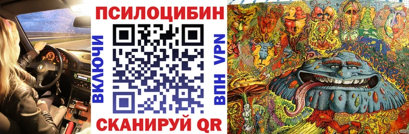 Купить  Лениногорск  Псилоцибиновые грибы Cubensis 