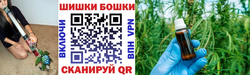 Купить закладки  Лениногорск  Каннабис SATIVA & INDICA 